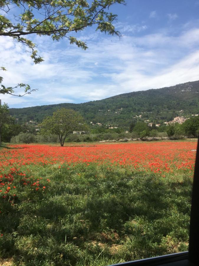 Vila Les Genets Fayence Exteriér fotografie