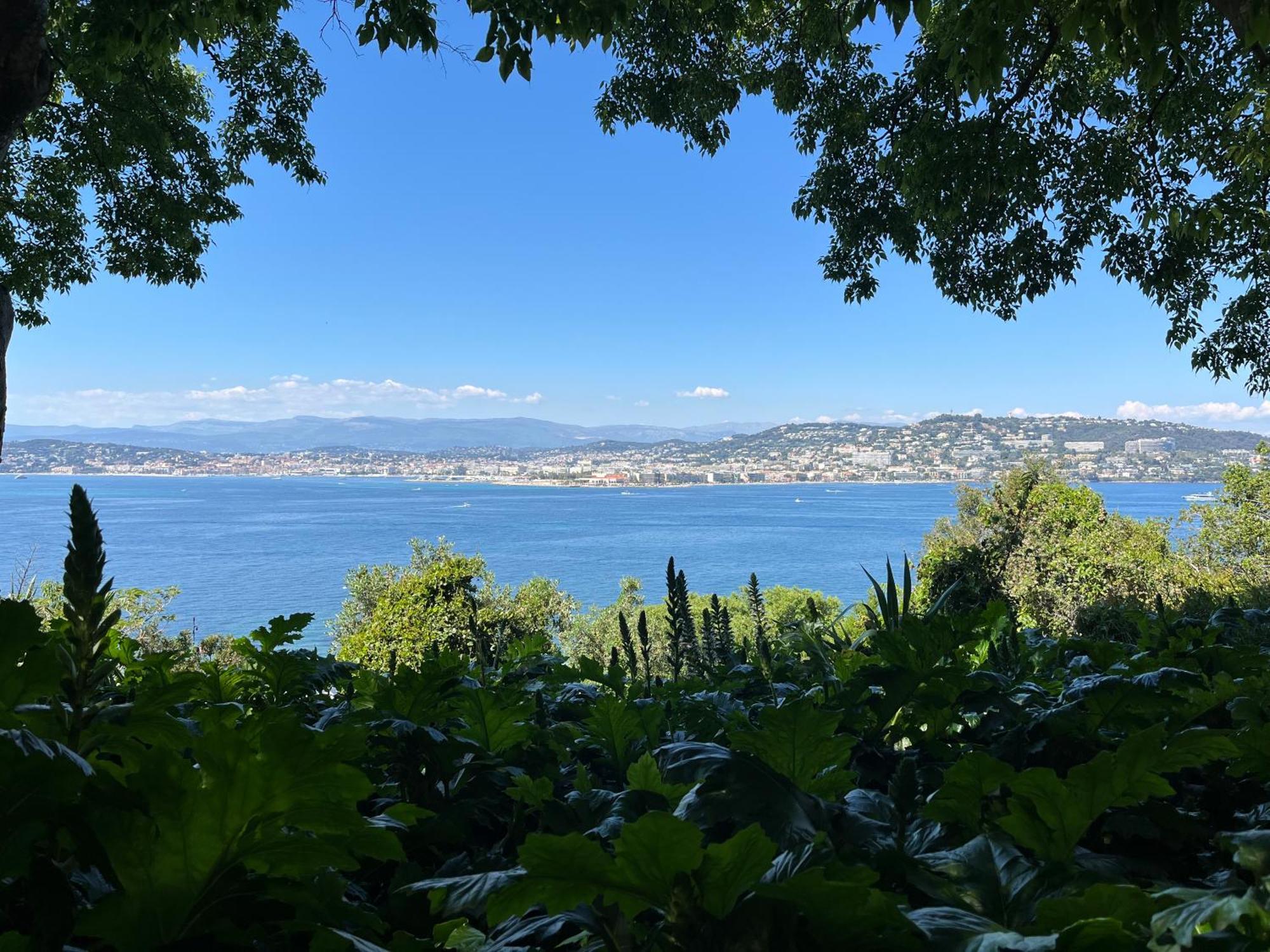 Vila Les Genets Fayence Exteriér fotografie